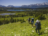 Four Men Hike into an Alpine Meadow on a Sunny Day