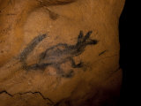 Pictograph of a Dog in Devilstep Cave