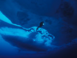 Diver Exploring a Blue World under Multi-Year Arctic Ice  10' Thick