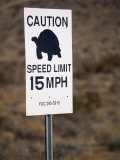 15 Mph Speed Limit Sign with a Turtle Silhouette