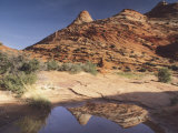 Coyote Buttes  Arizona