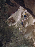 Tourists Climb a Wooden Ladder Up a Cliff Face to Balcony House