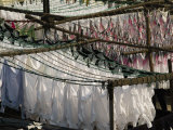 Freshly Clean  Hand Laundered Clothing Hangs to Dry