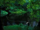 Fisherman Fly Fishing for Atlantic Salmon  Salmo Salar