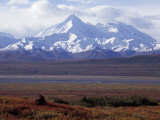 Majestic Snow-Draped Mountains a Backdrop for a Grazing Moose