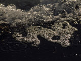 Close View of Sea Foam