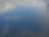 Clouds and Sky Reflected in Rippled Water