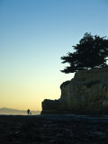 At Sunset  a Man Walks His Dog on Beach