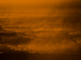 Herd of Burchell's Zebras Raising Dust Clouds at Twilight
