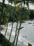 People Run on Beach and Play in Surf in Scenic Tropical Cove