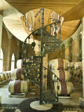 Spiral Staircase and Barrels at a Winery in the Casablanca Valley