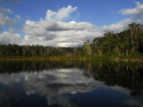 Lagoon with a Reflection of the Sky  Clouds and Shoreline Trees