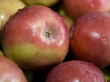 Pile of Organic Apples
