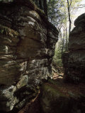Gap Between Large Boulders Creates a Narrow Woodland Path