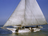 Skipjack for Oyster Fishing Sails on Choptank River