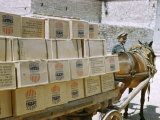 Man and Mule Cart Transport Boxes of Food Aid from United States