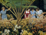 Visitors Inspect Cymbidium Orchids Blooming in a Greenhouse