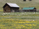 Log Cabin on the High Country Ranch on the Continental Divide