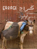 Mule Parked in Front of a Sign That Reads "Garage"