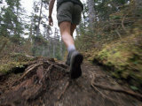 Ground View of a Person's Legs  Hiking in the Woods