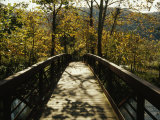 Footbridge over Waterway in Autumn Hued Woods in a Mountain Valley