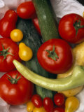 Basket of Various Tomatoes  Squash and a Cucumber and a Pepper