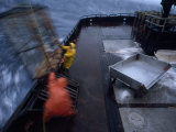 Crab Fishermen Hauling a Trap onto the Deck of their Boat