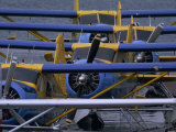 Colorful Seaplanes in Bristol Bay