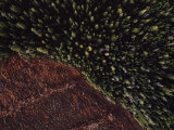 Aerial View of Clear-Cut Loggin in Idaho's Salmon National Forest