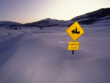 "Snowmobile Crossing" Sign in a Snowdrift