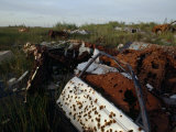 Rusted Autos Used for Target Practice