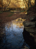 Footbridge over a Woodland Creek