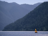 Colorful Sailboat Plying the Waters of the Olympic Peninsula