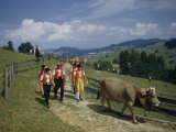 Herders and Flower-Festooned Cattle Parade to Summertime Pastures