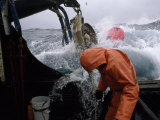 Fisherman Tending Trap Lines in High Seas Aboard a Fishing Boat