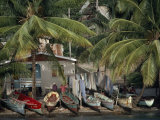 Small Fishing Village and Boats under Palm Trees on the Shore