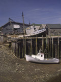 Low Tide at Halls Harbor in the Bay of Fundy
