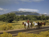Rancher Leads His Horses on Country Road  Mountains Line Horizon