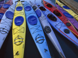 Group of Colorful Sea Kayaks