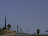 Volkswagen Beetle Traveling on a Lonely Road