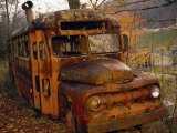 Old Rusting School Bus Sitting Among the Trees