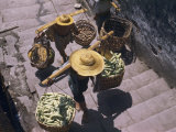 Coolies Trudge Up Stairs with Baskets of Produce on Shoulder Poles