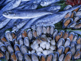 Clams and Fish at a Fish Market