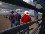 Cowboys Watch a Rodeo in Nebraska
