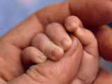 Adult Holds a Baby's Hand