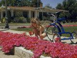 Girl Kneeling Beside a Tricycle Picks a Bouquet of Pink Flowers