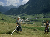 Women Use Poles to Turn Hay Drying in Sun in Alpine Valley