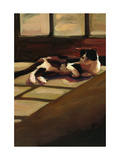 Black and White Cat