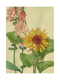 Sunflower and Foxglove