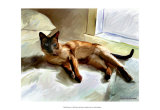 Siamese